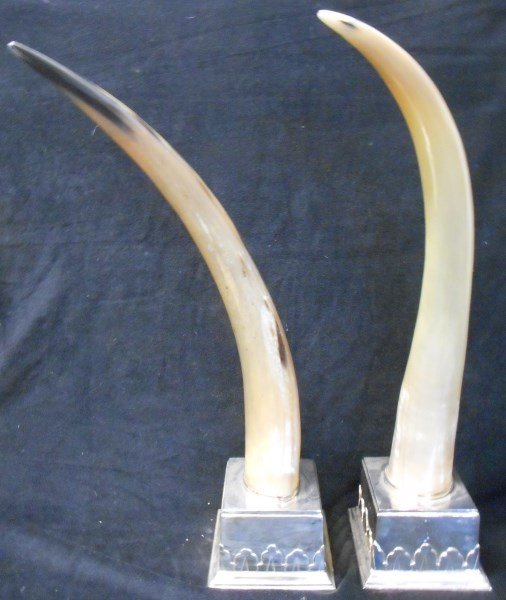 Pair of Large Decorative Horns Mounted in Silver Plate (1 of 1)