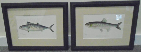2 Framed Denton Prints (1 of 1)