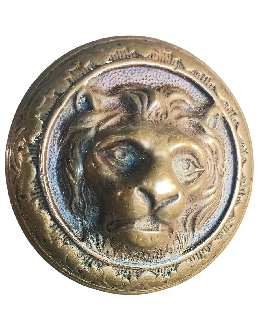 Hard-to-find Lion Knob (1 of 11)