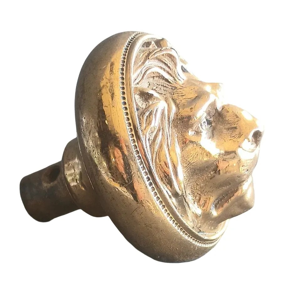 Kruzinger Lion - 6
