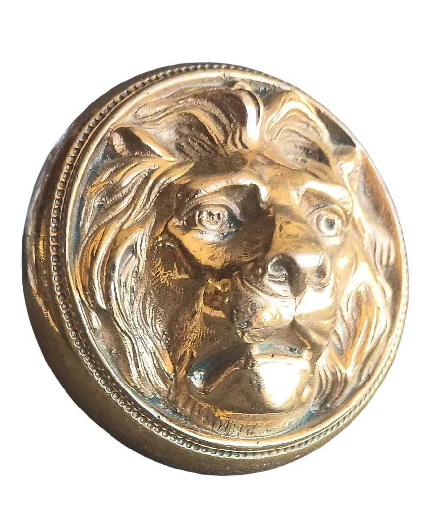 Kruzinger Lion - 7