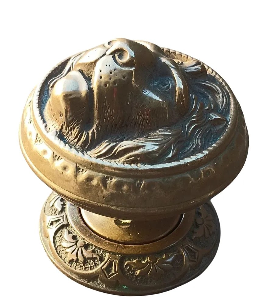 Important Lion Knob - 5