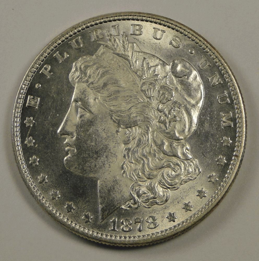 1878 8TF Morgan Dollar. (1 of 4)