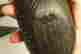 item-51239173=5
