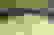 item-51239272=2