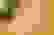 item-51239323=6