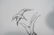 3 pcs after RAFAEL CORONEL Art 1) Oil on board be - 8