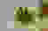 item-51700134=2
