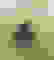 item-52215177=4