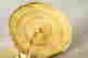 item-52215259=6