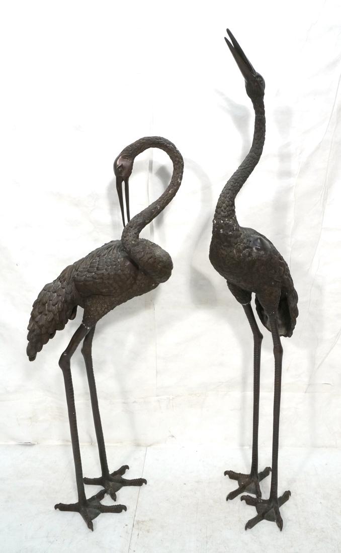 Pr Large Oversized Bronze Crane Figures. 2 standi (1 of 10)