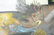 Modernist Abstract Oil Painting. Abstract Birds & - 3