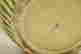 item-53328261=5