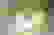 item-55496184=3