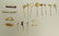 17pc Antique Jewelry. 11 Stick Pins. 3 Pins. 1 Sn