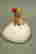 item-55967365=2