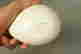 item-55967365=4