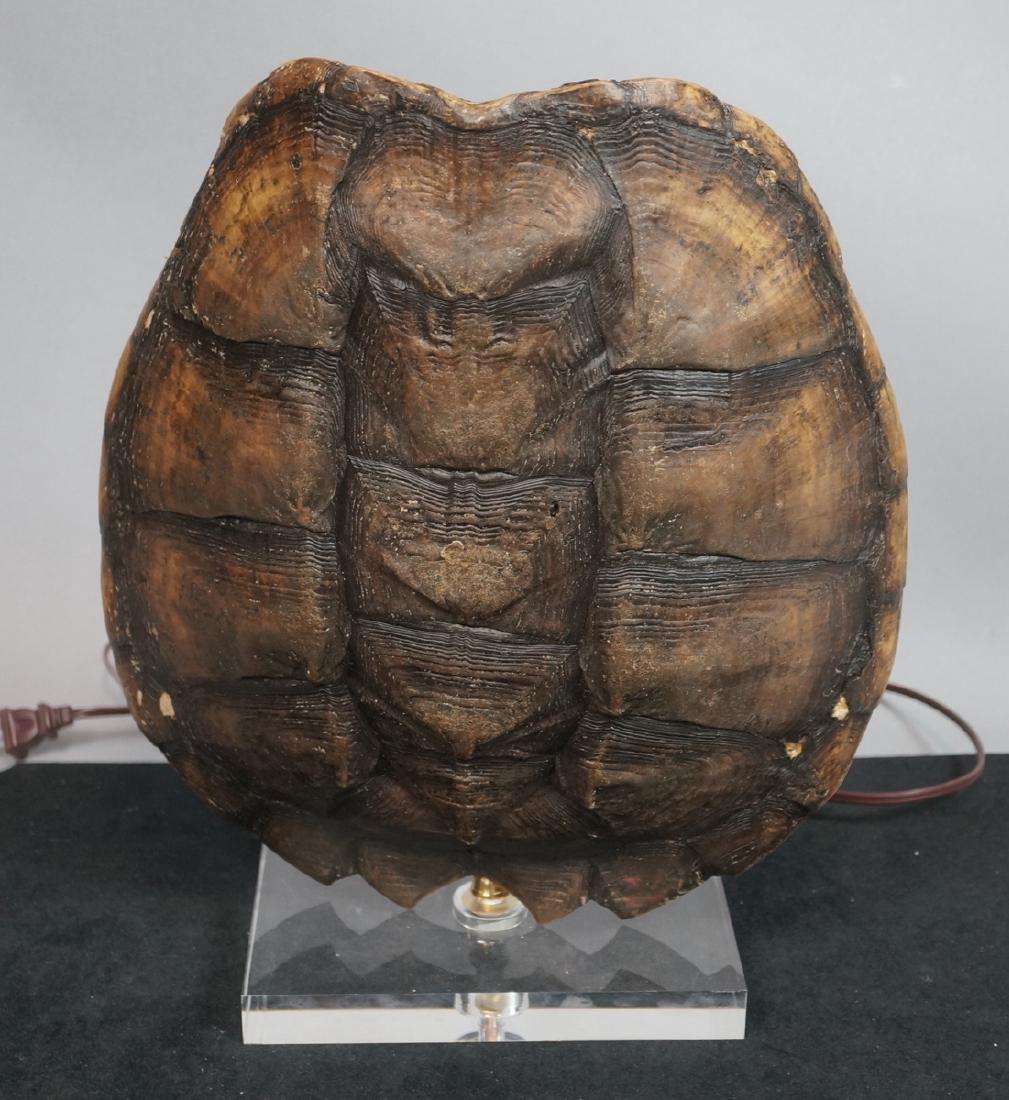 Natural Tortoise Shell Table Lamp. Natural shell (1 of 10)