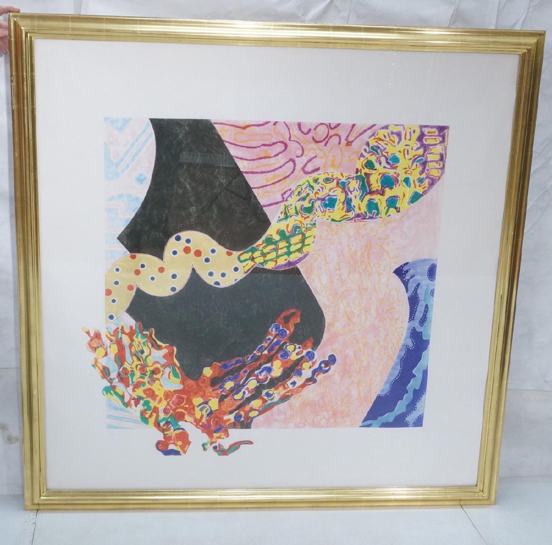 NANCY GRAVES Lg Abstract Lithograph Print 'Borbor (1 of 10)