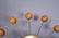 GEORGE NELSON for HOWARD MILLER Ball Wall Clock. - 7