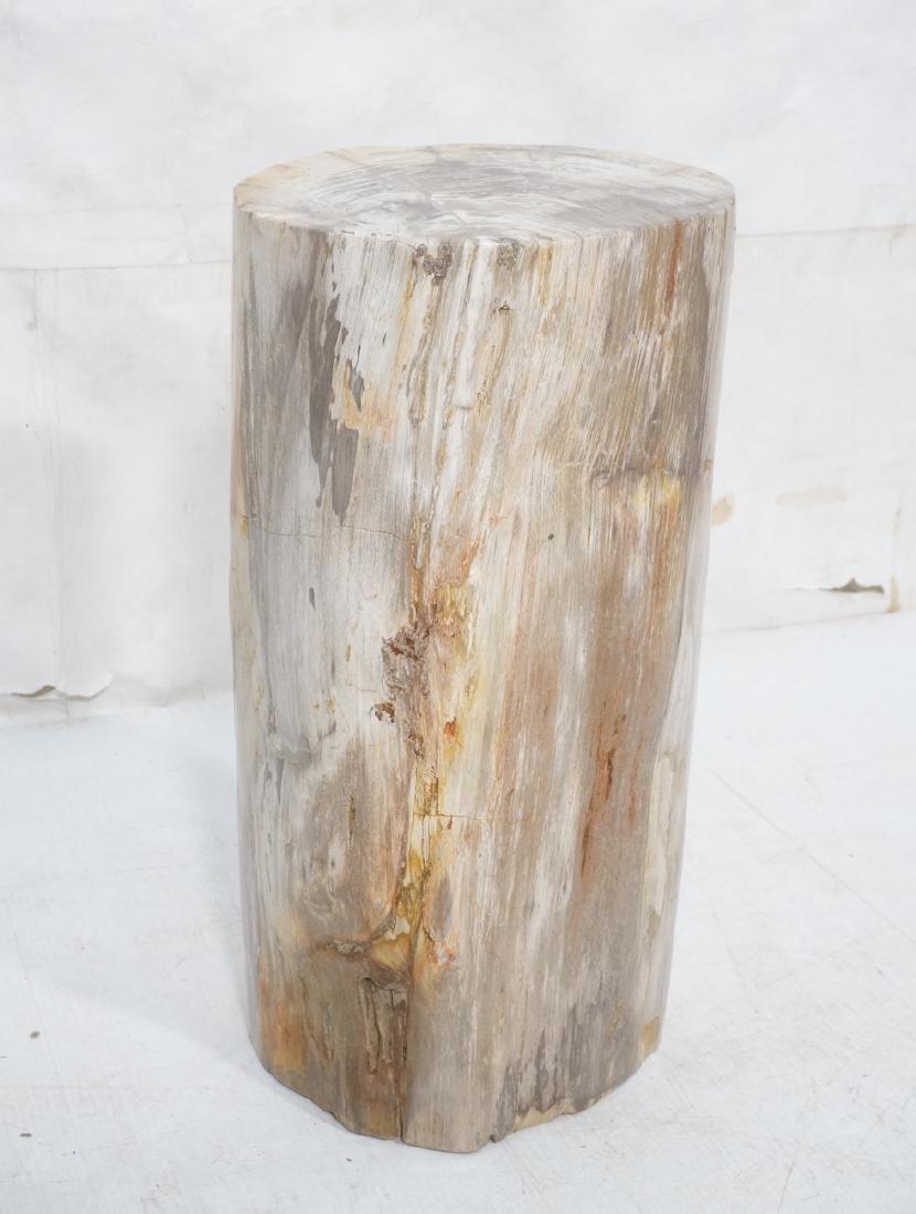Petrified Wood Stool End Table. Natural form petr (1 of 6)
