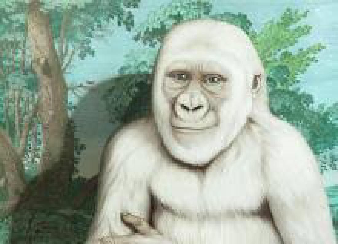 TOM DALE PALMORE "Snowflake" Serigraph Print. Lar (1 of 10)