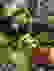 item-60190239=7