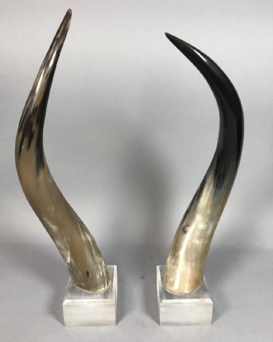 Pr. Natural Steer Horns Mounted on Lucite Base. M (1 of 5)
