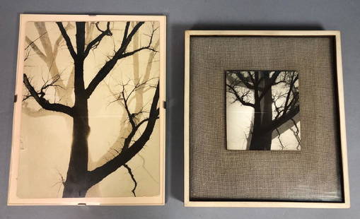 2pcs. NAOMI SAVAGE Black & White Photographs of T: 2pcs. NAOMI SAVAGE Black & White Photographs of Trees. Small photo mounted on needlepoint background-- Dimensions: Image Size: H: 13 inches: W: 10 inches ---