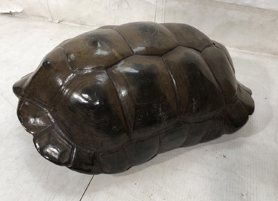 Large Decorator Giant Turtle Tortoise Shell. (1 of 8)