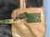 item-61152057=4
