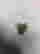 item-61152126=2