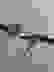 item-61152295=3