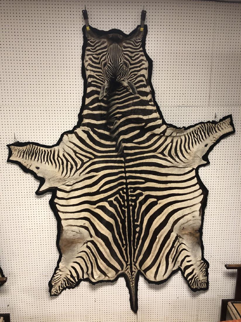 Genuine Zebra Skin Hide Rug. Complete head with 3 (1 of 11)
