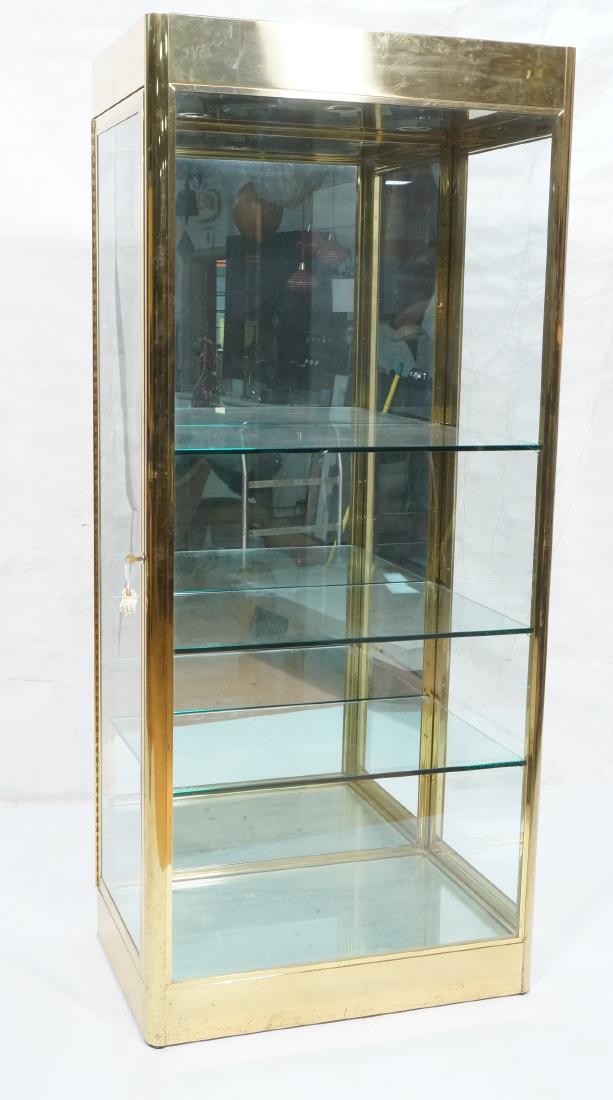 MASTERCRAFT Brass & Glass Display Cabinet. Modern (1 of 16)