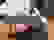 item-65053576=3