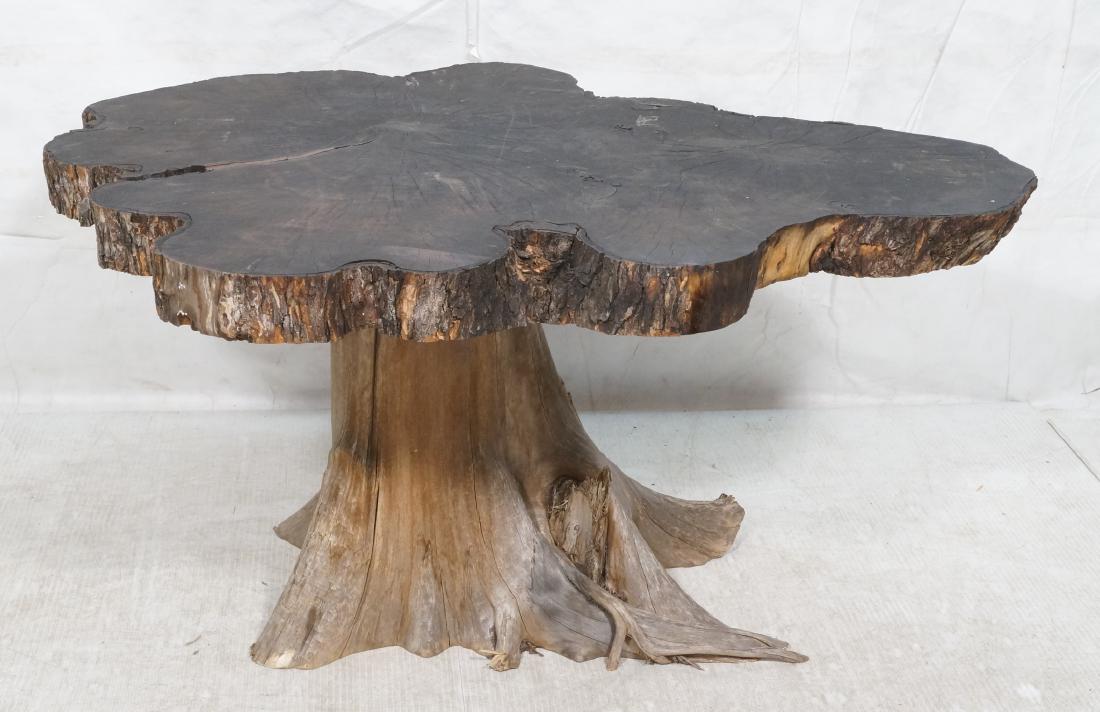 Naturalist Tree Trunk Base Table. Tree slab top. (1 of 7)