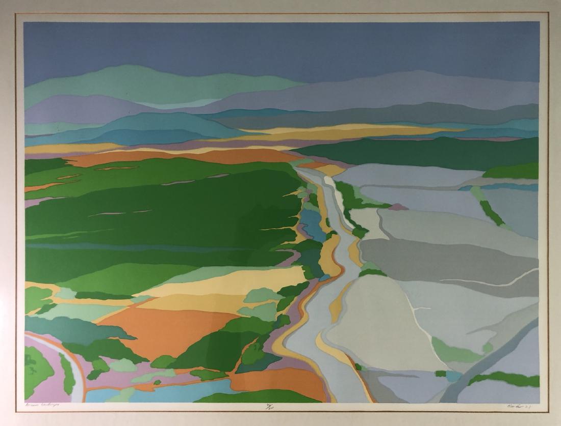 DIANE BURKO 1973 ARIZONA LANDSCAPE - Indistinctly (1 of 8)