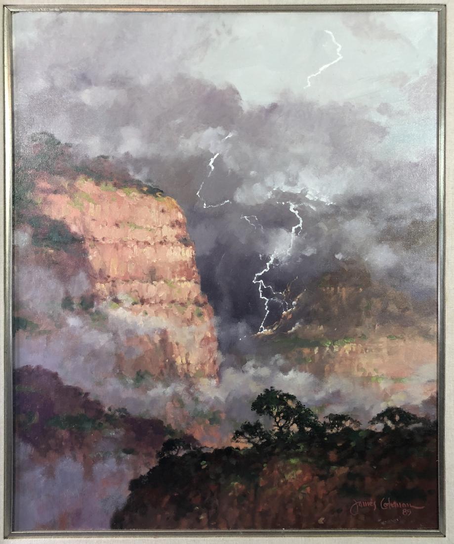 JAMES COLEMAN (AMERICAN, B. 1949) - 1985 - "LIGHT (1 of 9)