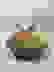 item-67435991=2