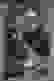 item-67517003=2
