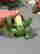 item-68620971=4