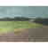 BILL SULLIVAN Pastel on Paper 1984 "THE SLEEPING - 5
