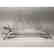 ARTHUR COURT Lucite Pewter Turtle Magazine Rack. - 3