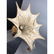 Tobia and Aldo Scarpa Style Octopus Lamp. Parcha - 10