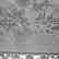 Carved Stone Chinese Plaque on Carved Wood Stand. - 8