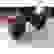 item-71997854=7