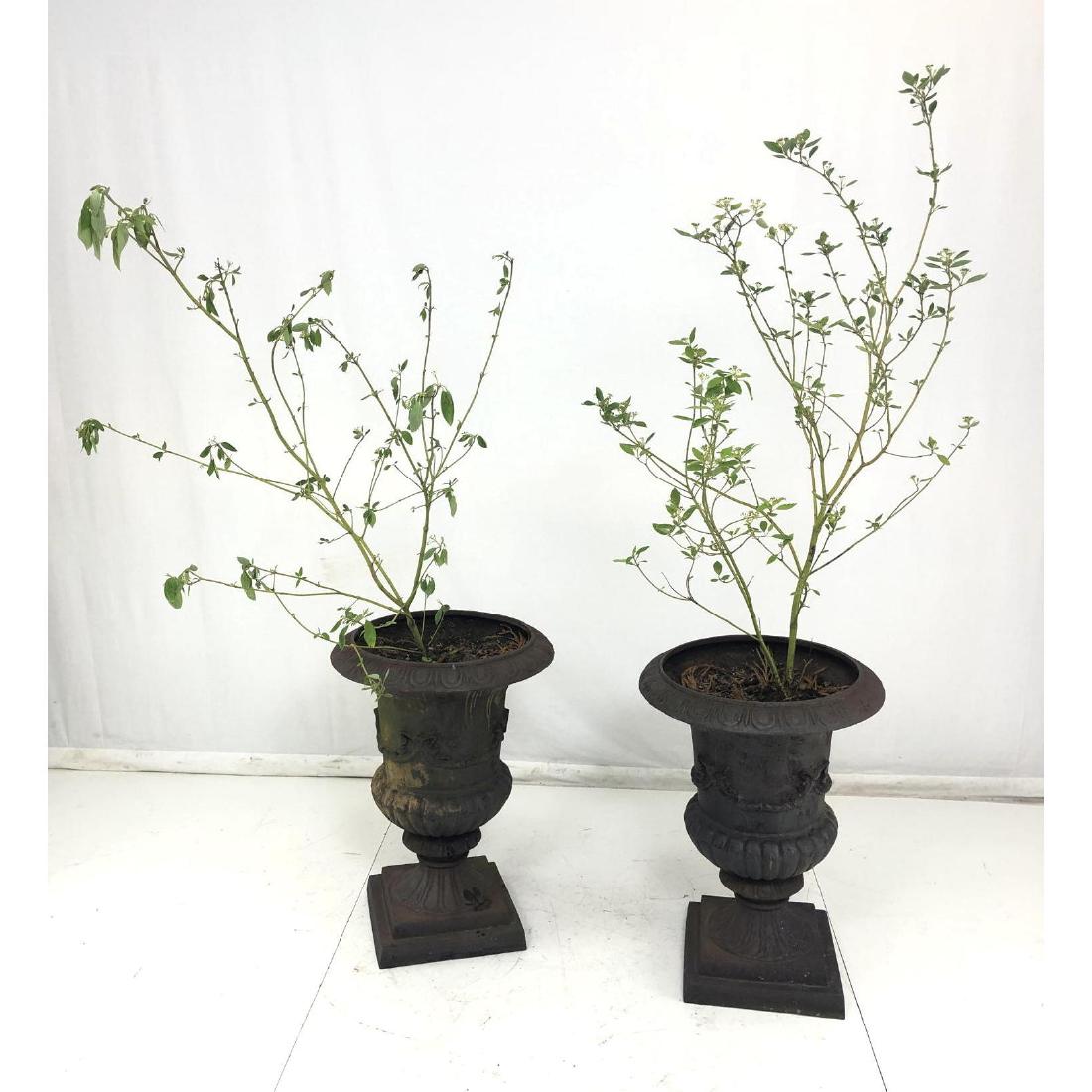 Pair Tall Cast Iron Urns with Drape design.  Step (1 of 13)