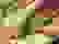 item-72825875=7