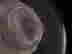 item-4544703=3